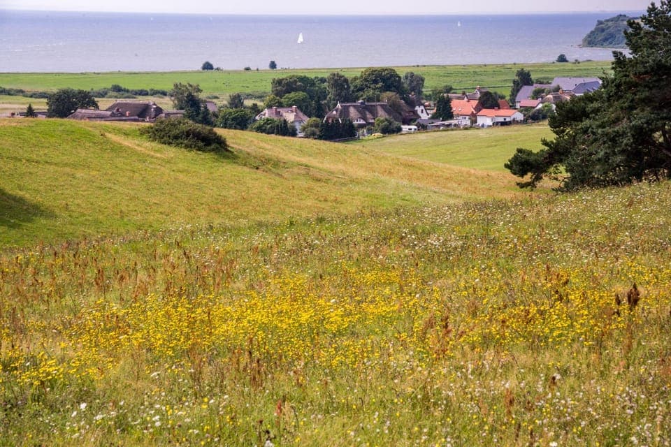 Natural landscape, Bird's eye view, Sea view