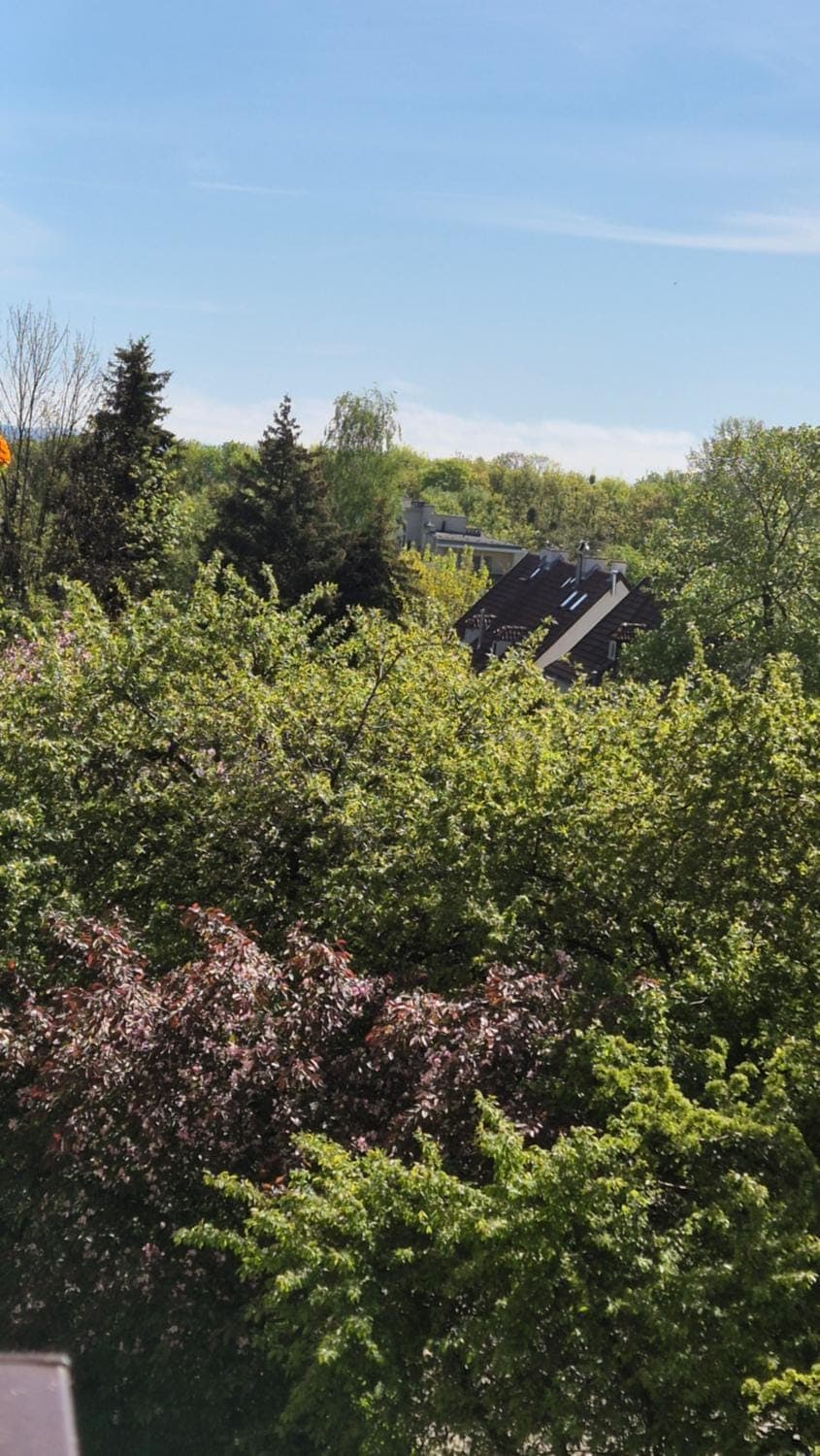 Spring, View (from property/room), Balcony/Terrace