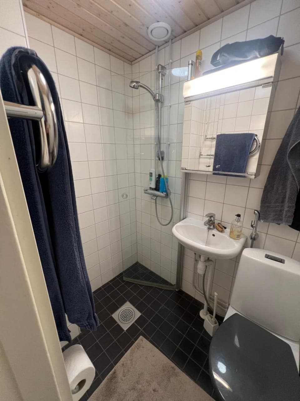 Toilet, Bathroom