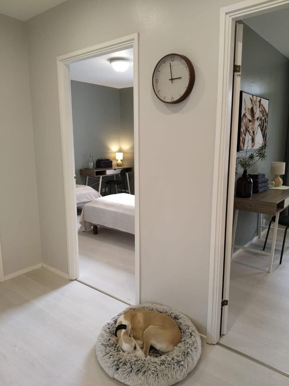 Photo of the whole room