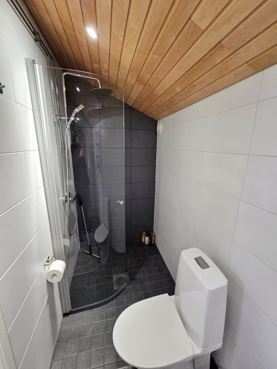 Shower, Toilet, Bathroom, bidet