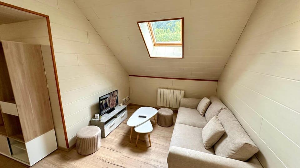 TV and multimedia, Living room