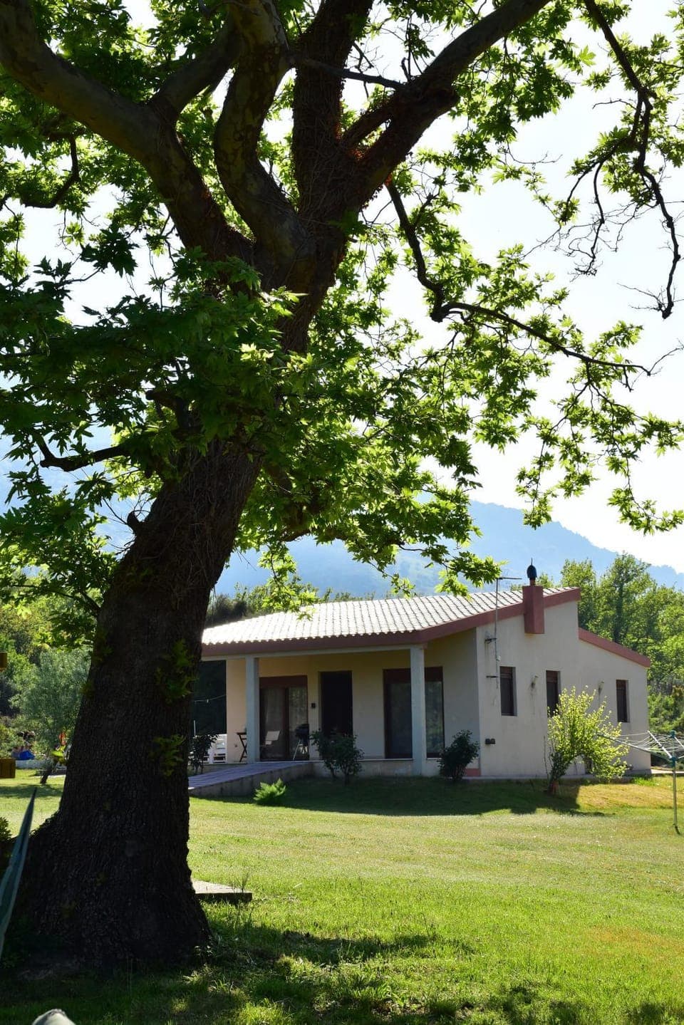 Property building, Natural landscape, Garden, Garden view