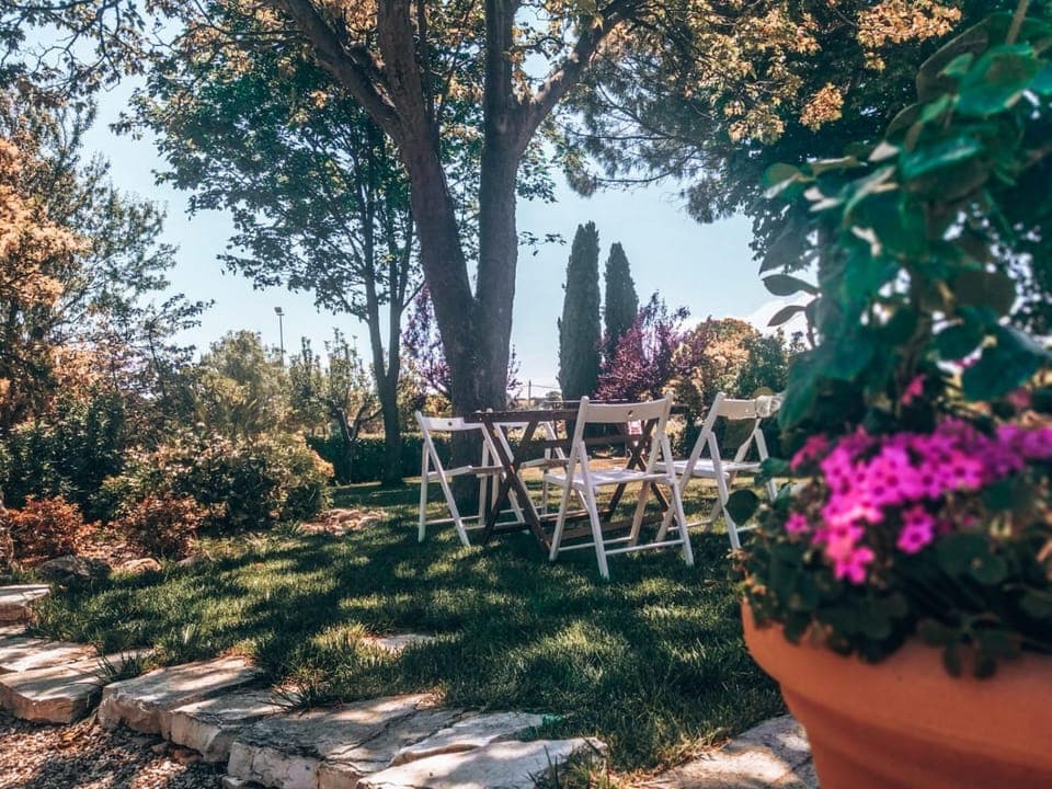 Patio, Garden, Garden view