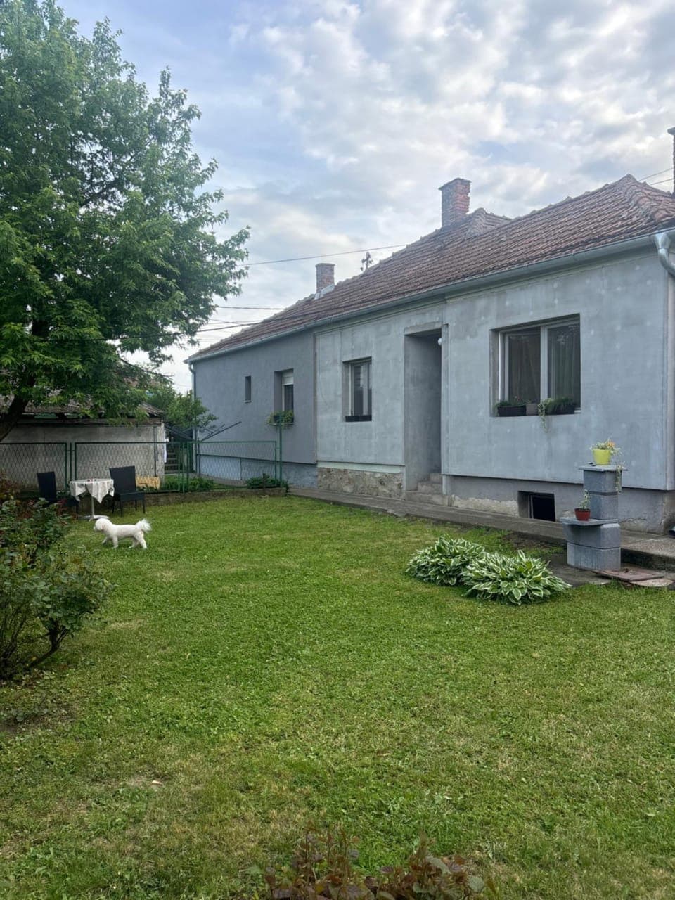Property building, Day, Garden, Pets