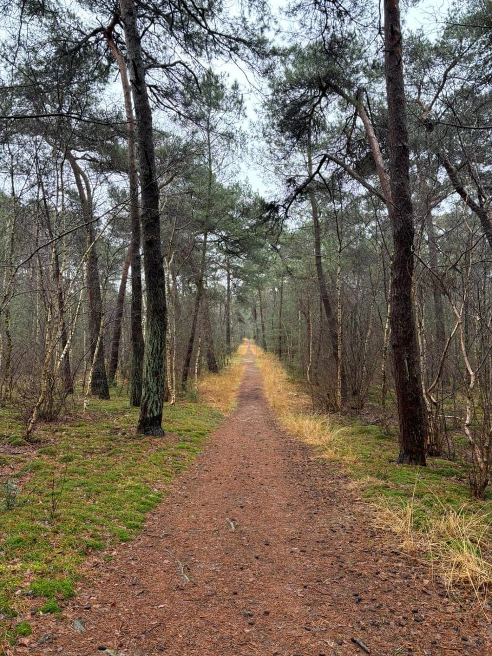 Day, Natural landscape, Garden