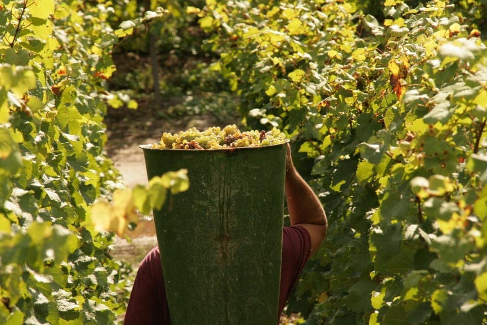 Natural landscape, Autumn