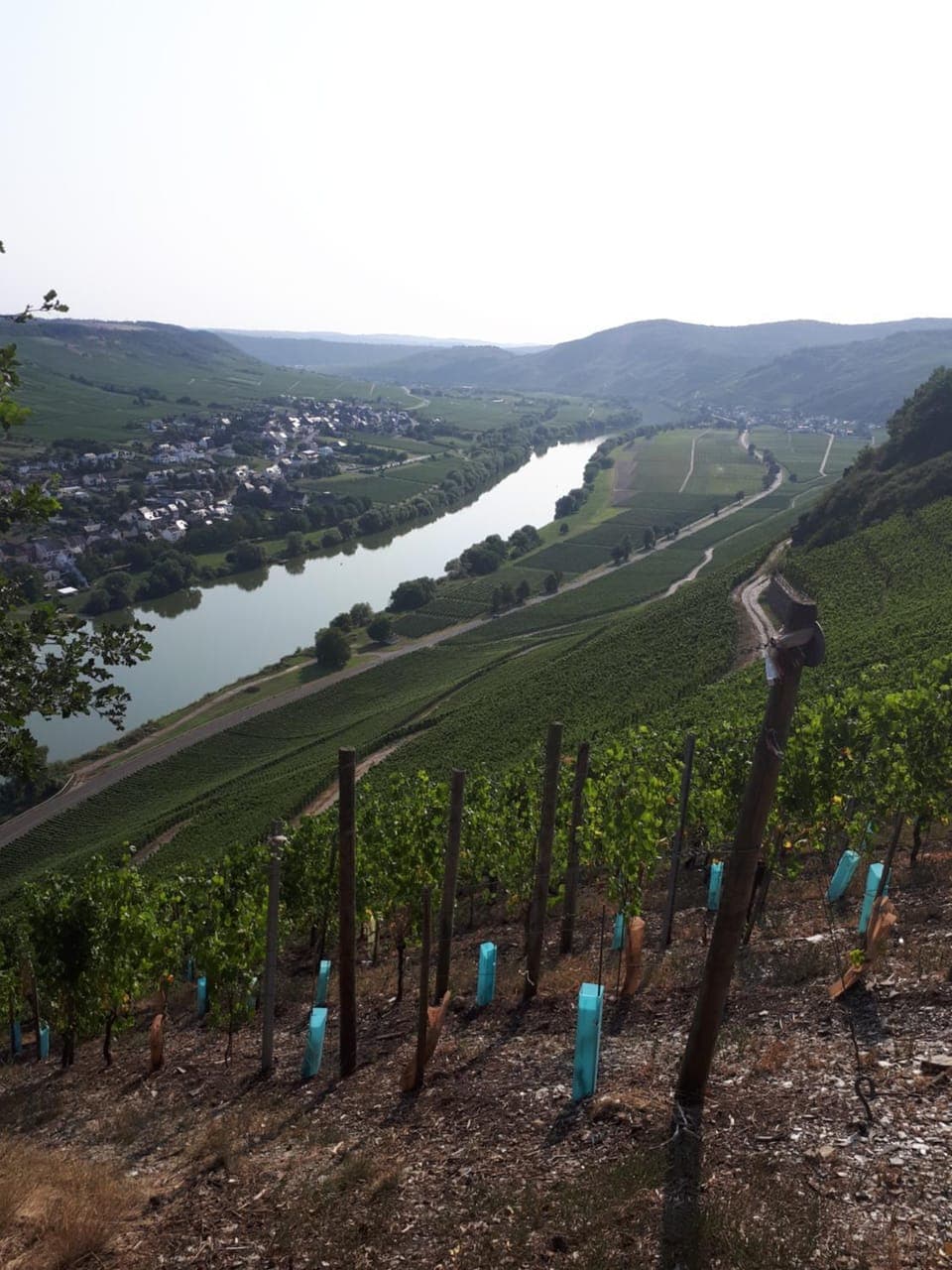 Day, View (from property/room), Mountain view, River view