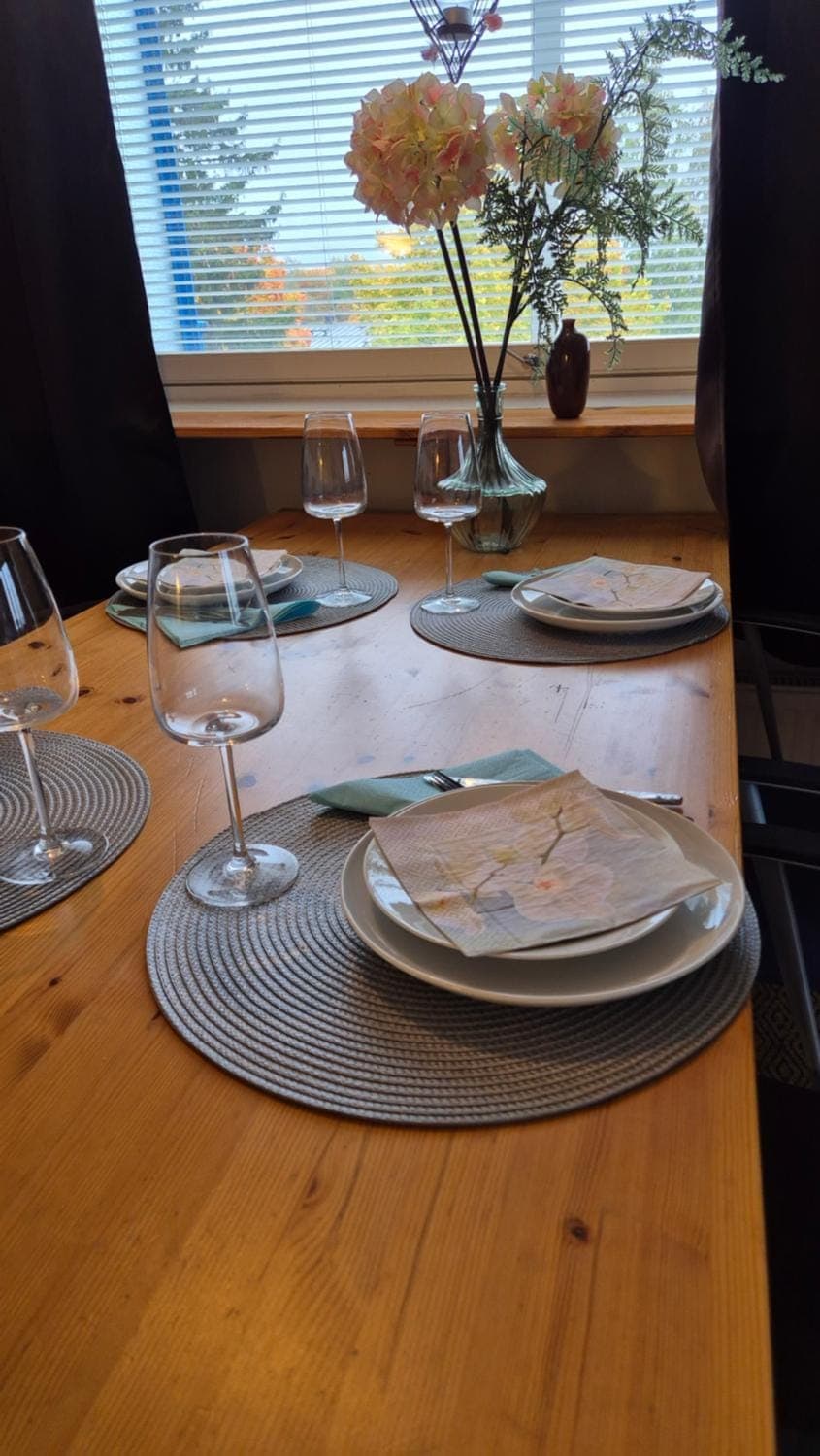 Spacious 2BR Apartment near Olavinlinna Castle Apartment in Finland