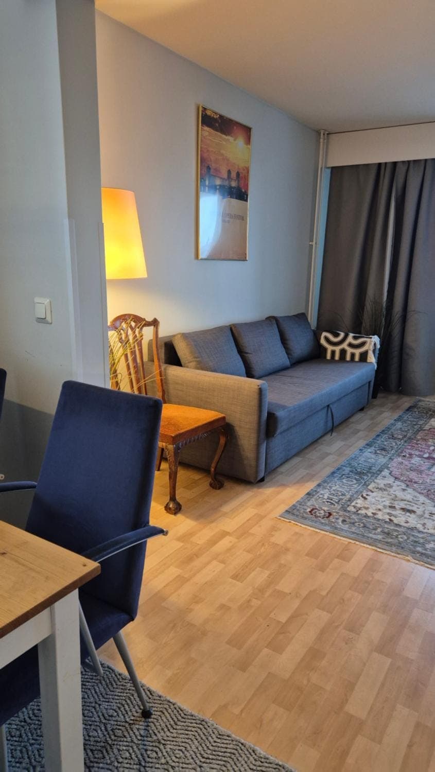 Spacious 2BR Apartment near Olavinlinna Castle Apartment in Finland