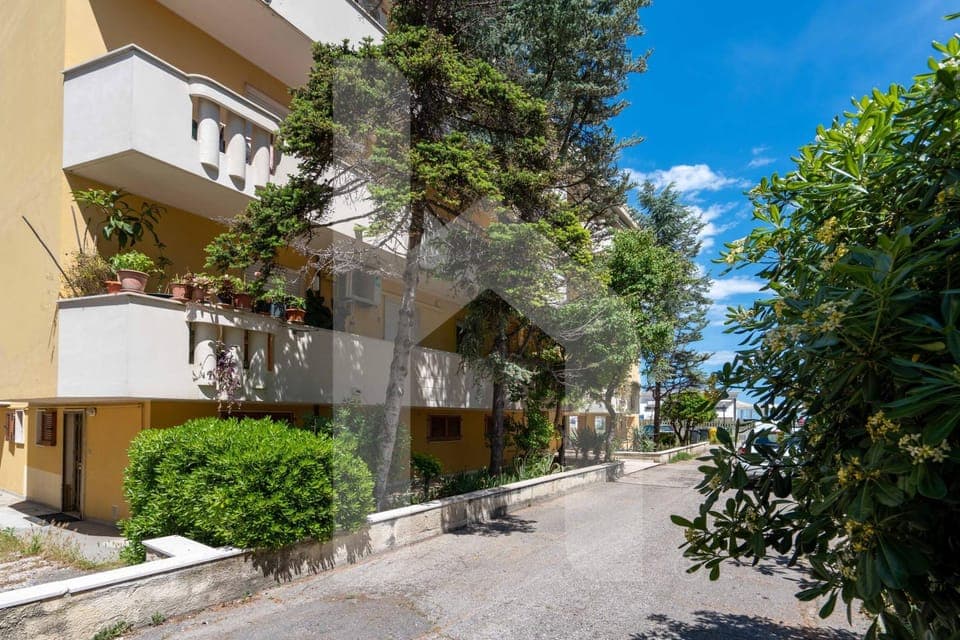 Neighbourhood, Street view