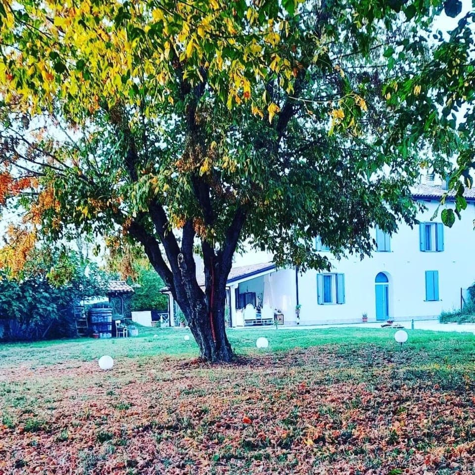 Property building, Day, Natural landscape, Garden view