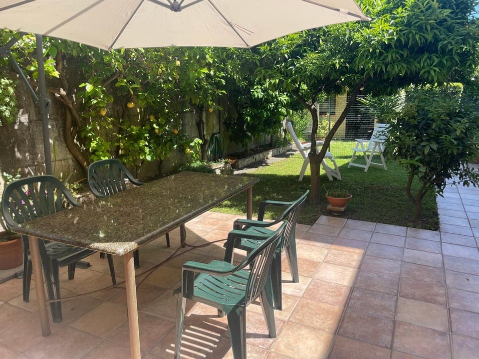 Patio, Garden, Garden view