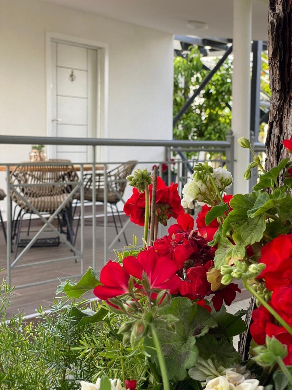 Patio, Spring, Garden, Garden, Balcony/Terrace, Garden view