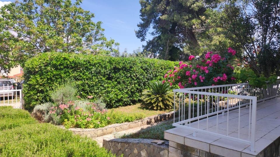 Spring, Garden, Garden view