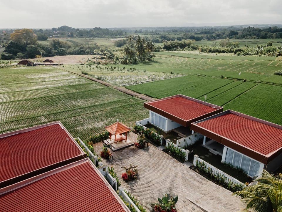 View (from property/room), Garden view