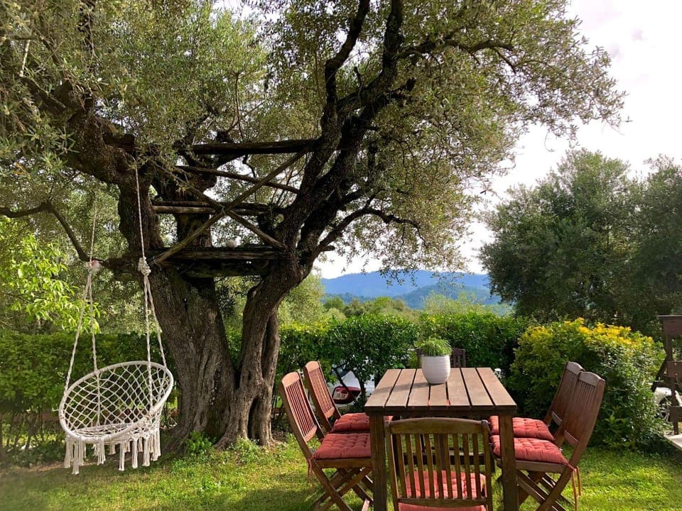 Natural landscape, Garden