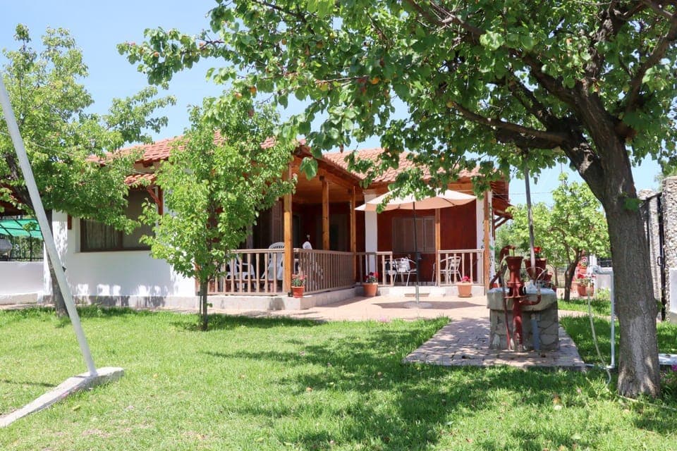 Patio, Garden, Garden view
