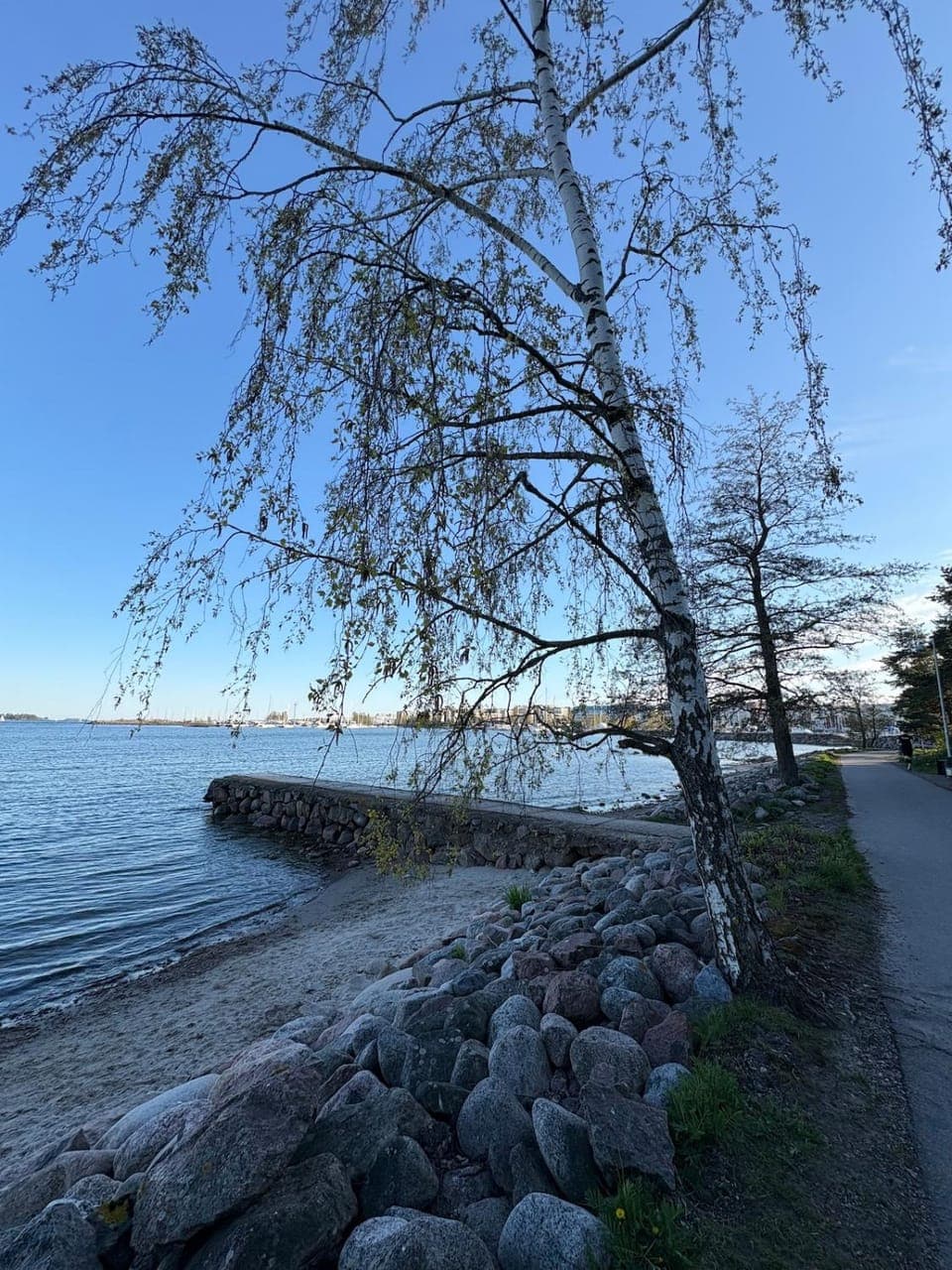 Neighbourhood, Sea view