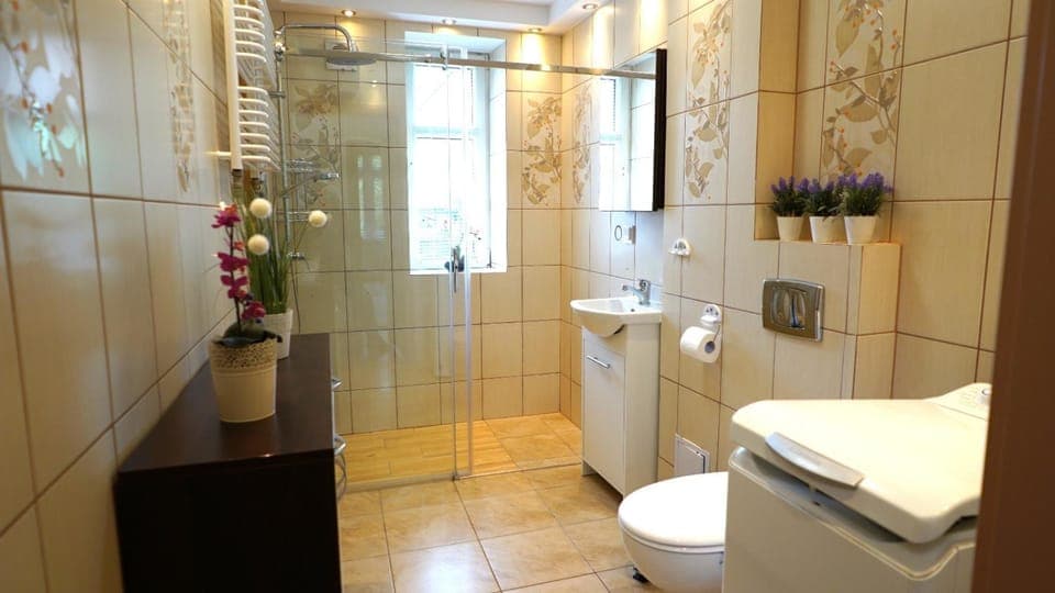 Shower, Toilet, Bathroom, flat iron, trouser press, washing machine