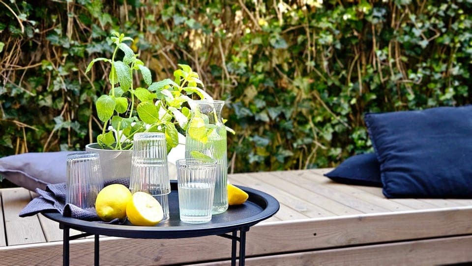 Patio, Day, Garden, Food and drinks, Garden view, Drinks