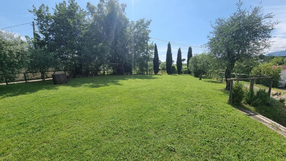 Natural landscape, Garden, Garden view