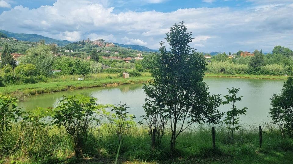 Natural landscape, Garden, Lake view