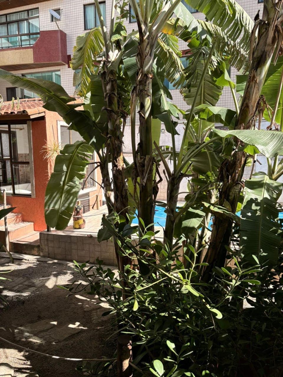 View (from property/room)