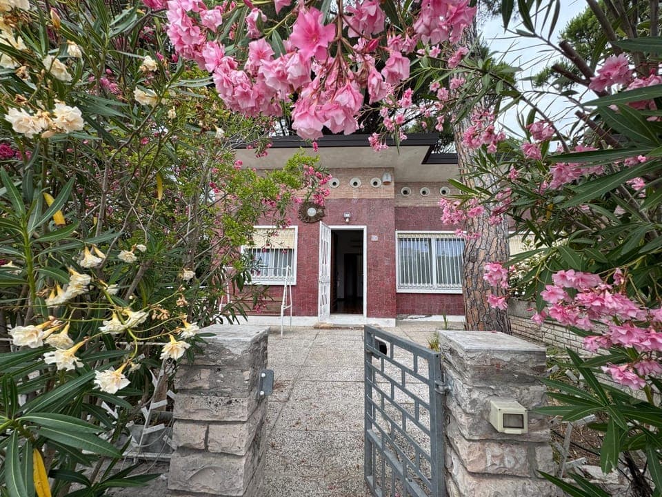 Property building, Spring, Day, Garden, Beach, Garden view