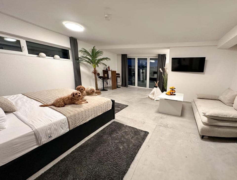 Bed, TV and multimedia, Photo of the whole room, Bedroom