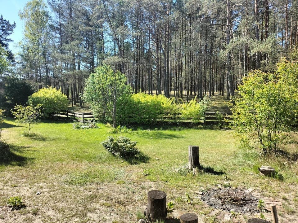 Spring, Day, Natural landscape, Garden view