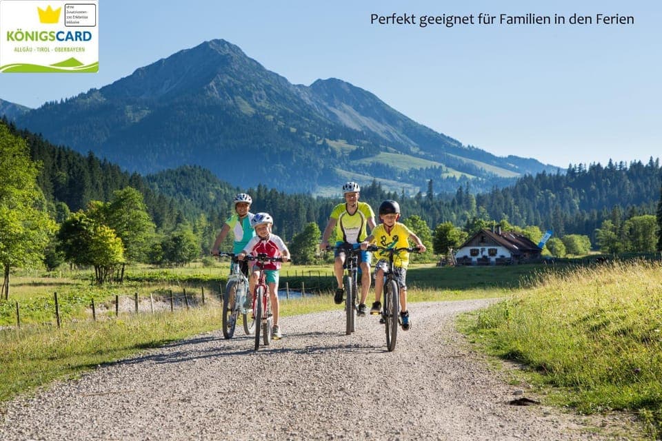 Natural landscape, Summer, Cycling, Autumn