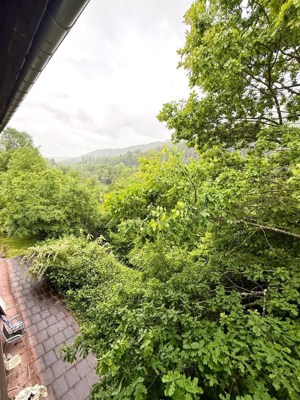 View (from property/room)