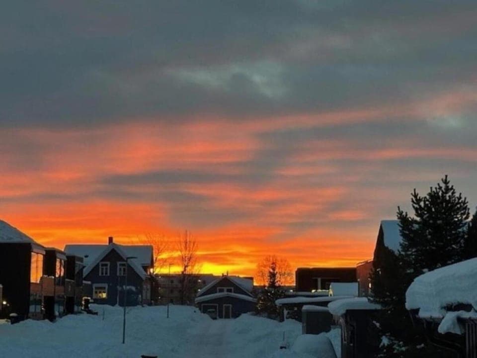 Winter, View (from property/room), Street view, Quiet street view