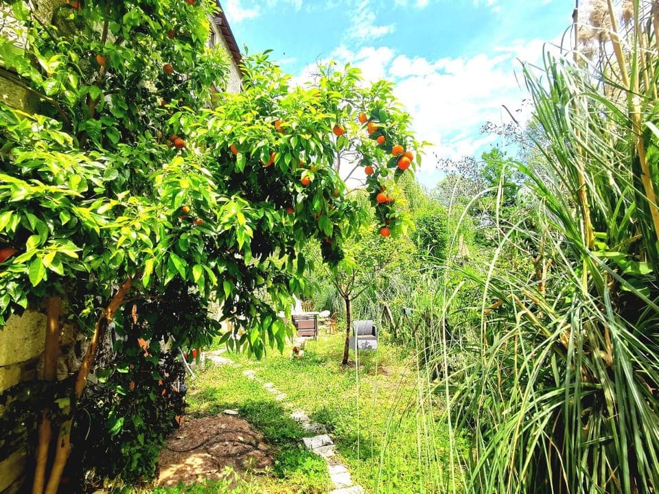 Spring, Day, Natural landscape, Garden, Garden, Garden view