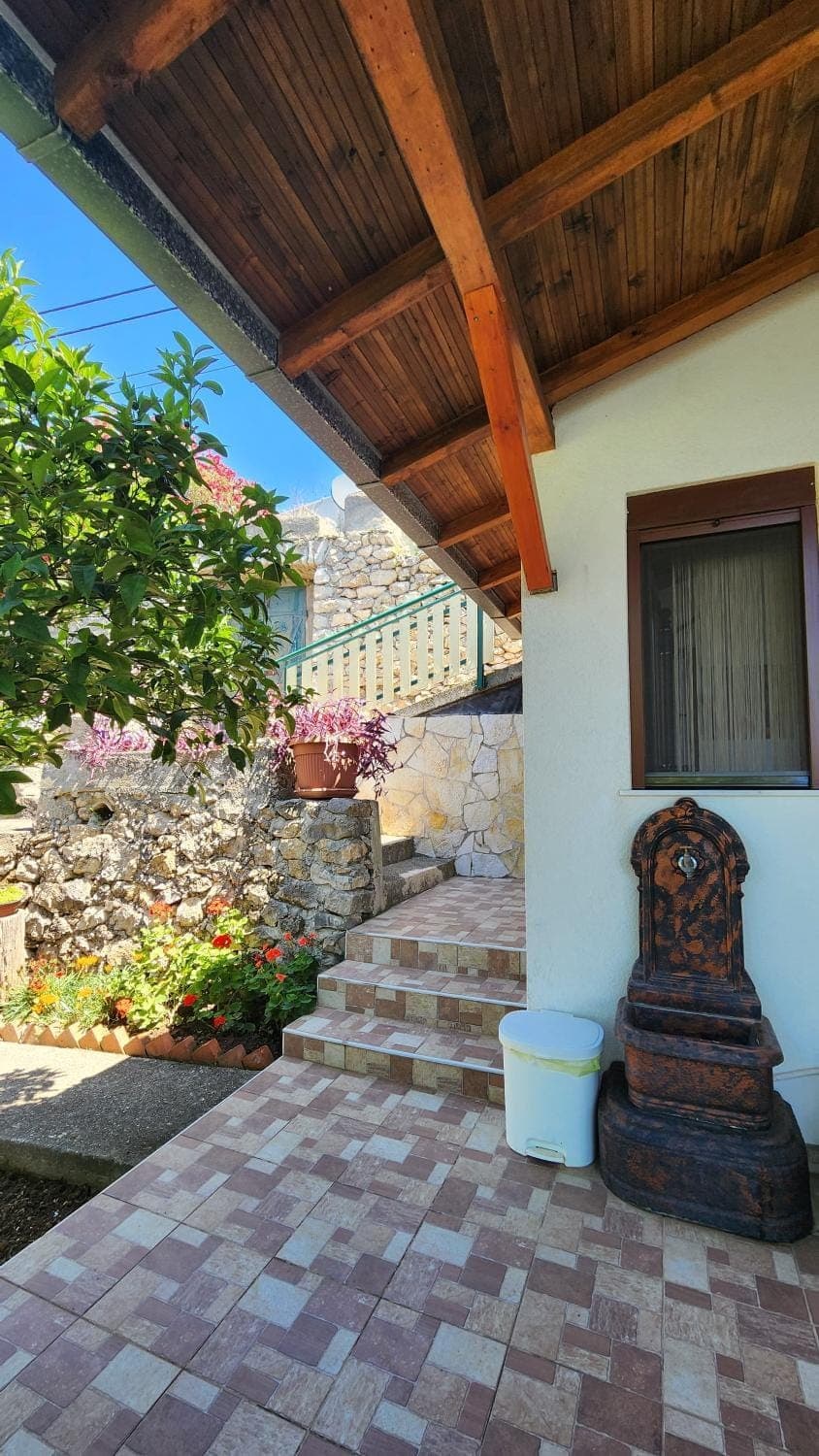 Day, Garden, Garden view