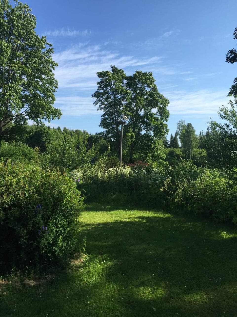 Garden view