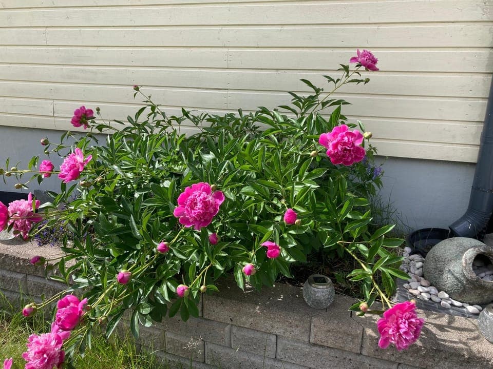 Huoneisto ulkoporealtaalla ja saunalla Apartment in Uusimaa