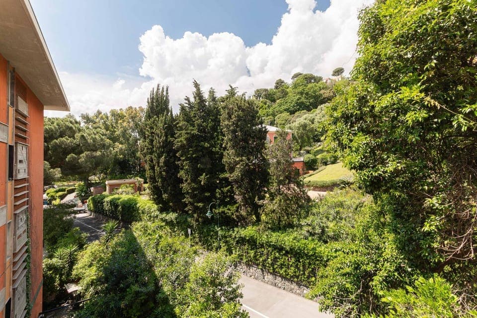 Spring, Day, Neighbourhood, Natural landscape, Garden, Garden view, Street view