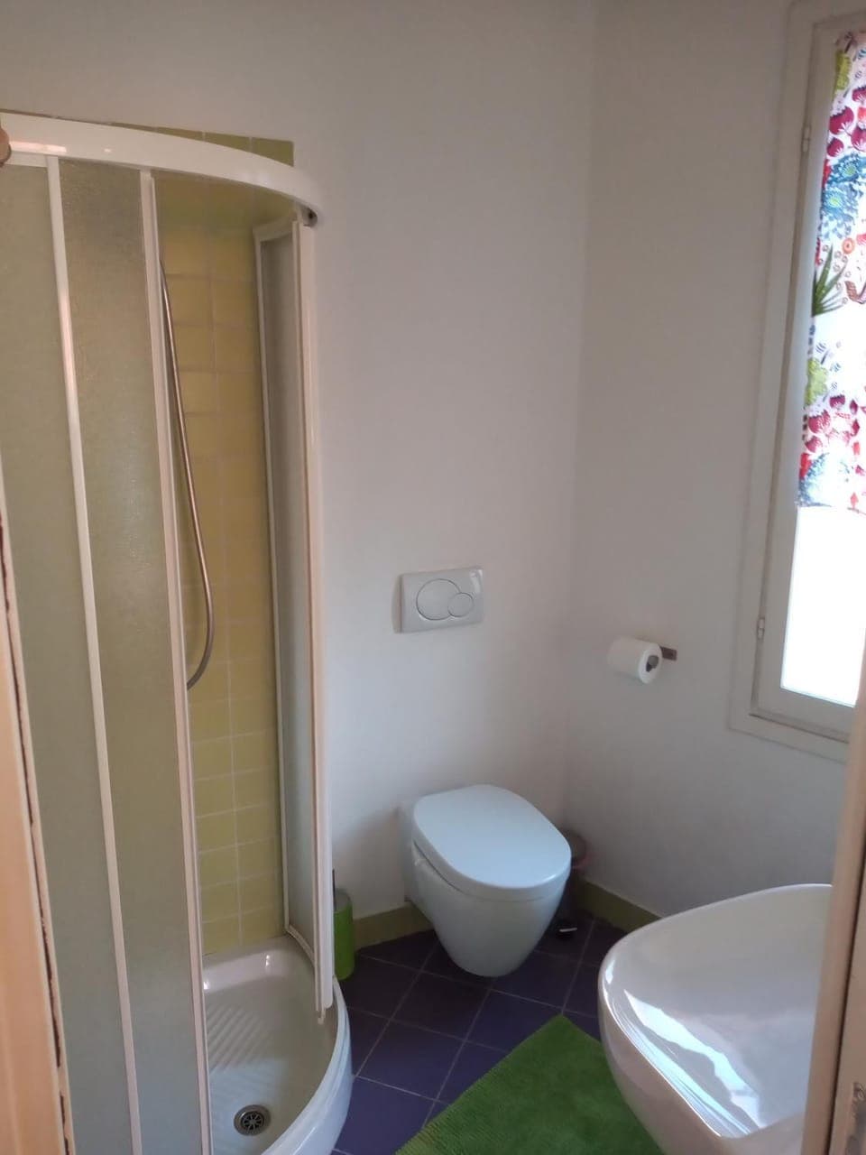 Shower, Toilet, Bathroom, bidet