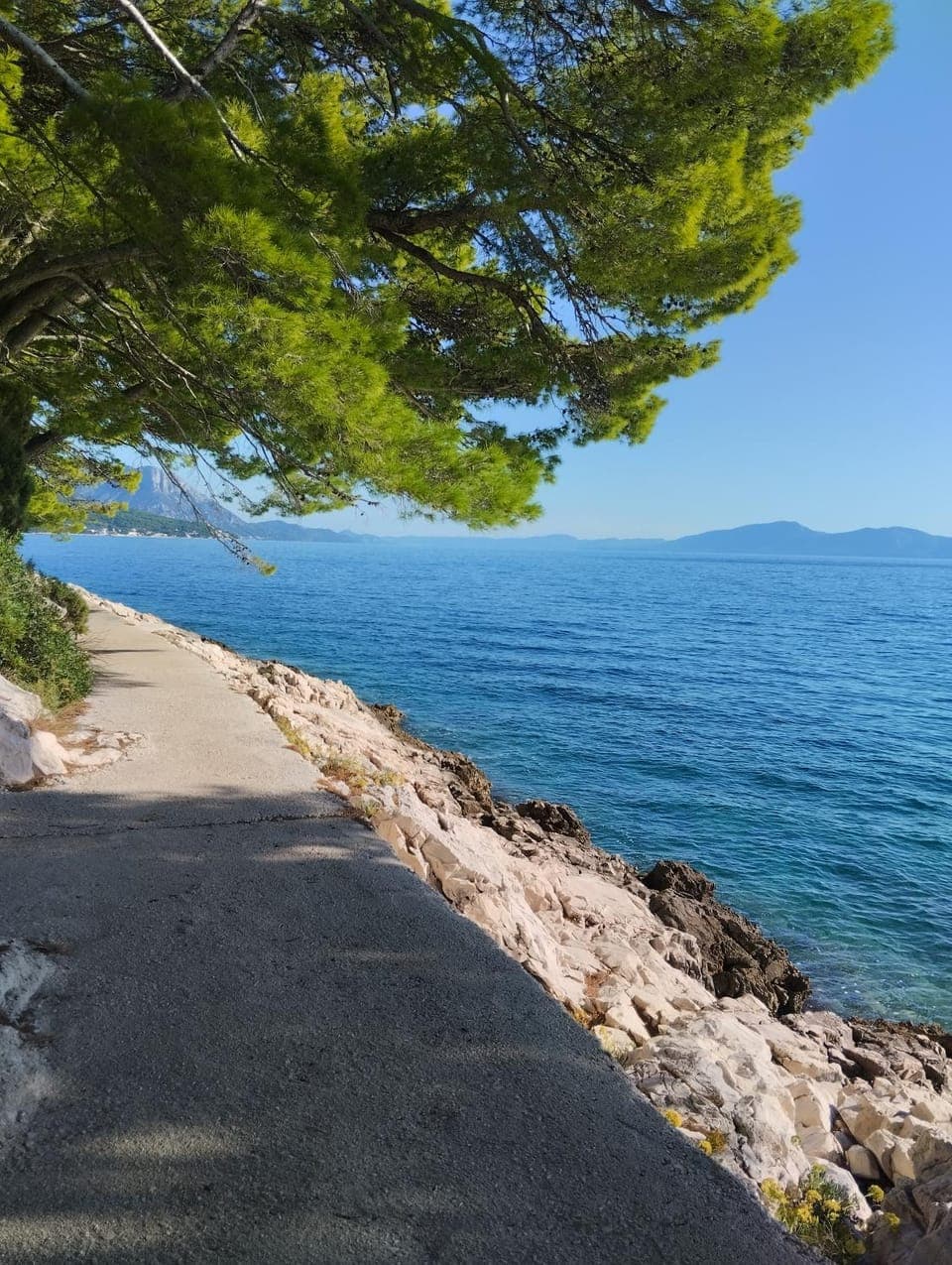 Neighbourhood, Natural landscape, Sea view