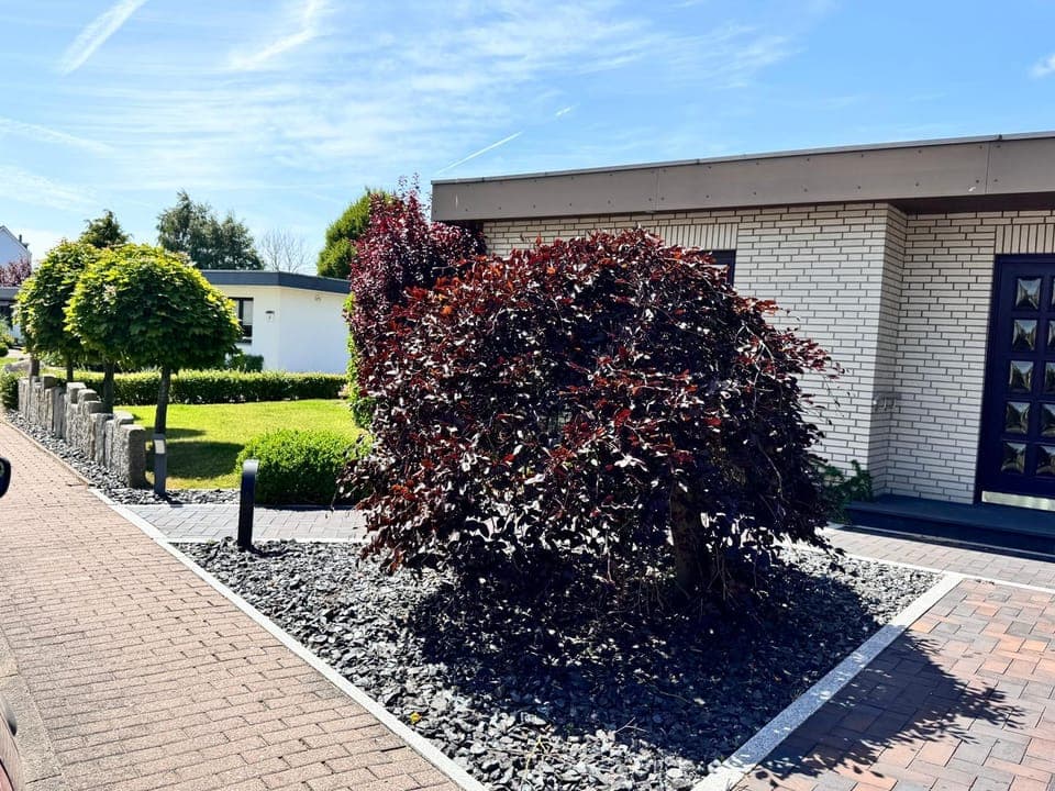 Property building, Garden