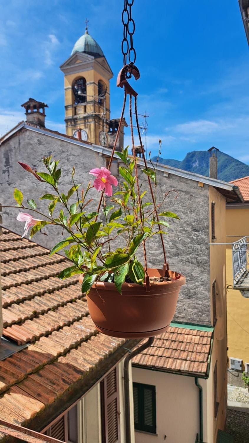 Balcony/Terrace, Mountain view, Street view