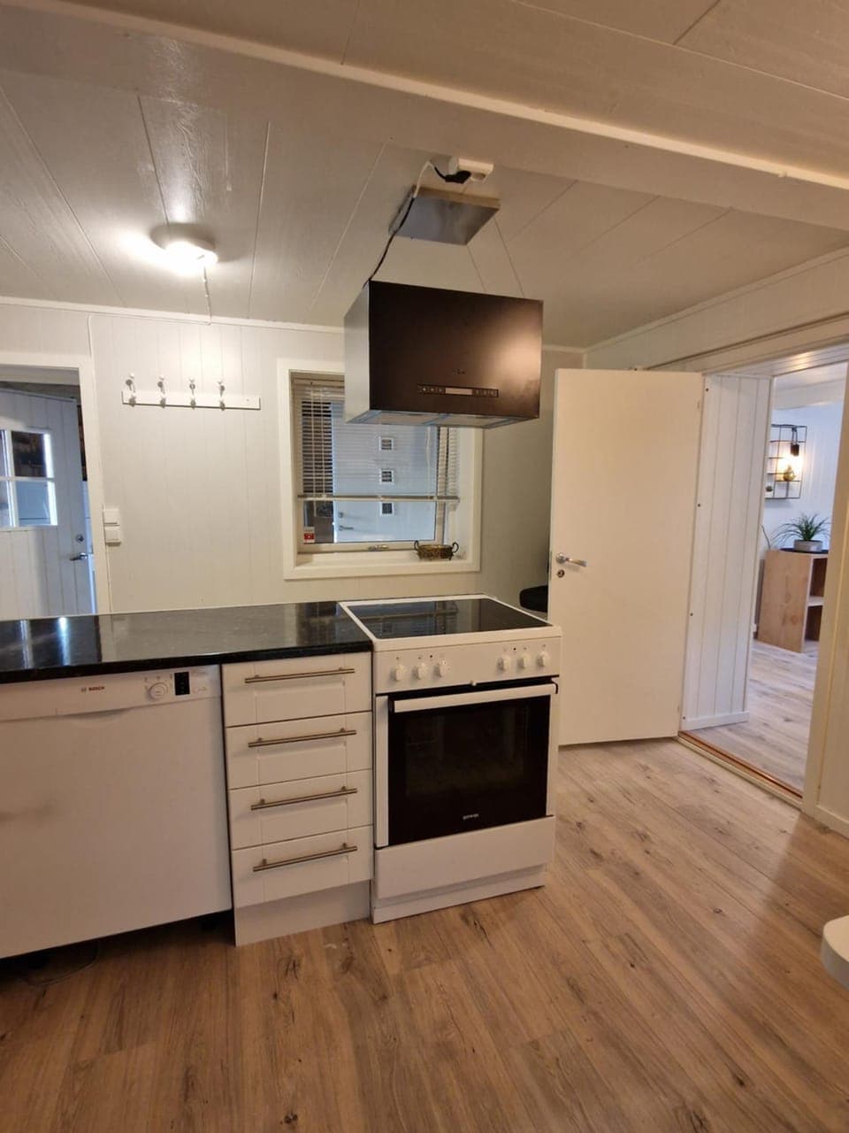 dishwasher, oven, stove
