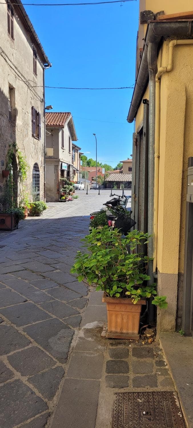 Neighbourhood, Street view