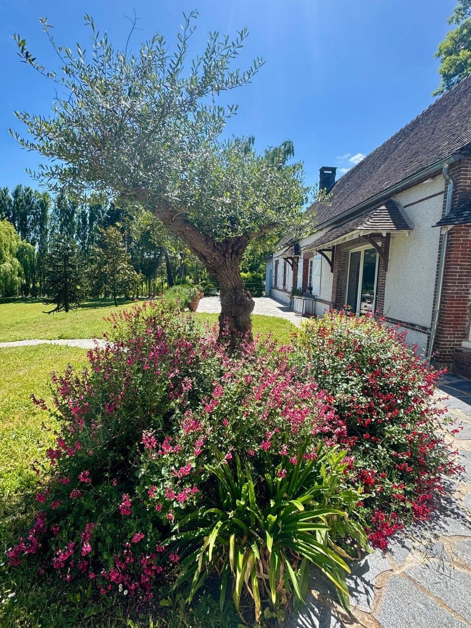 Property building, Day, Garden