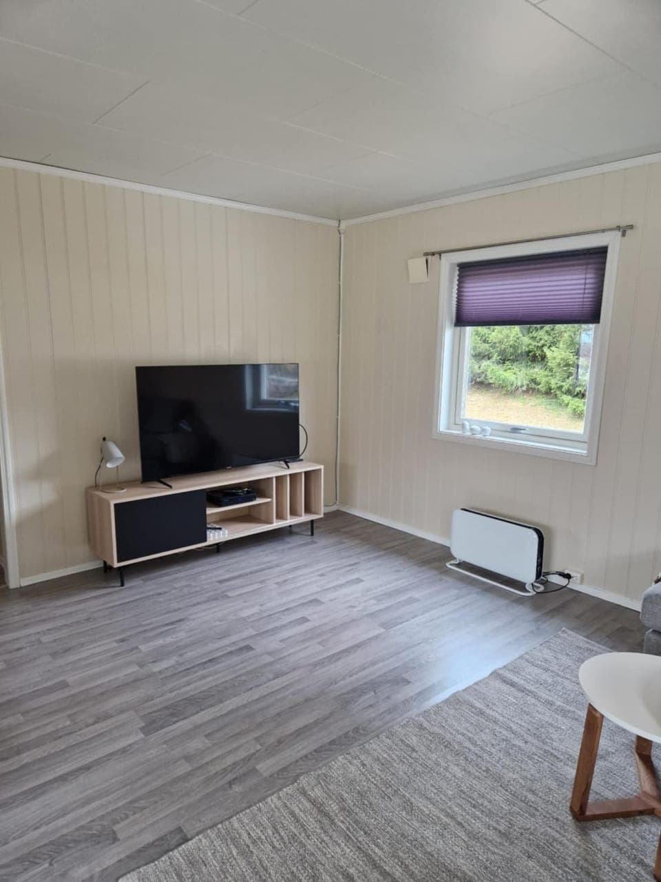 TV and multimedia, internet