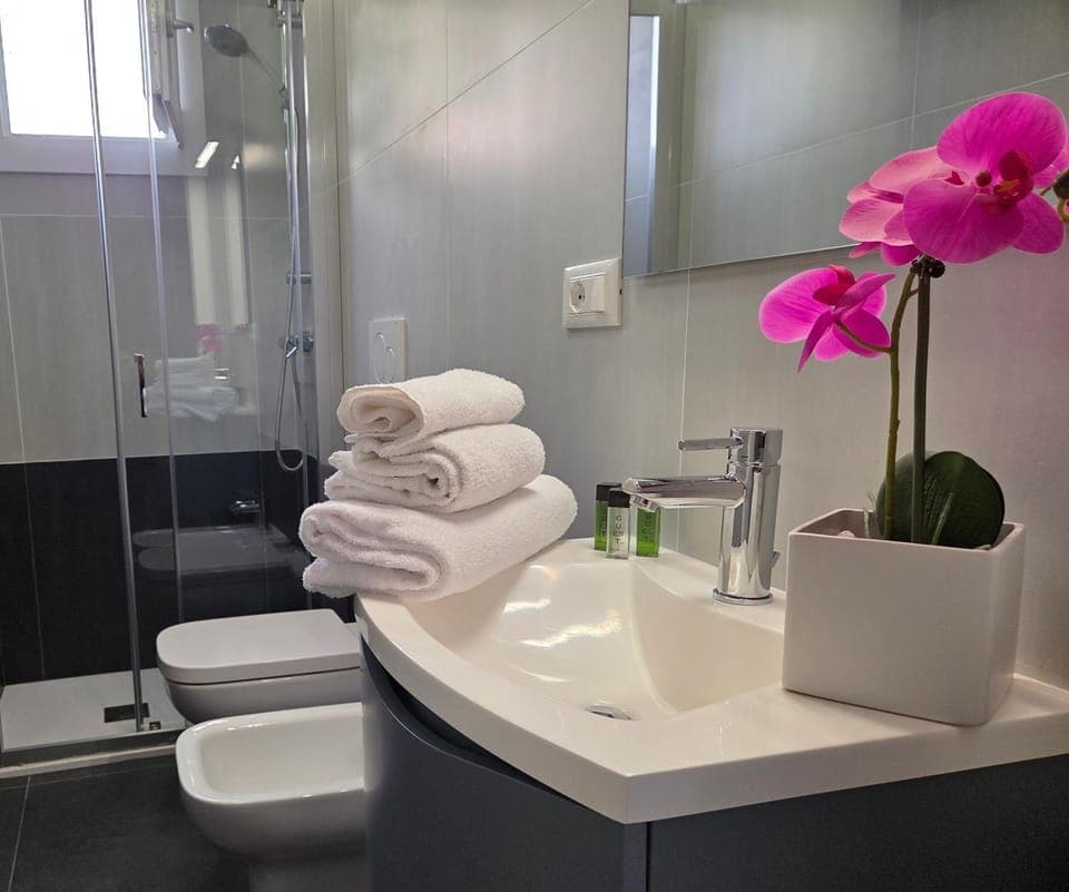 Shower, Toilet, Bathroom, bidet