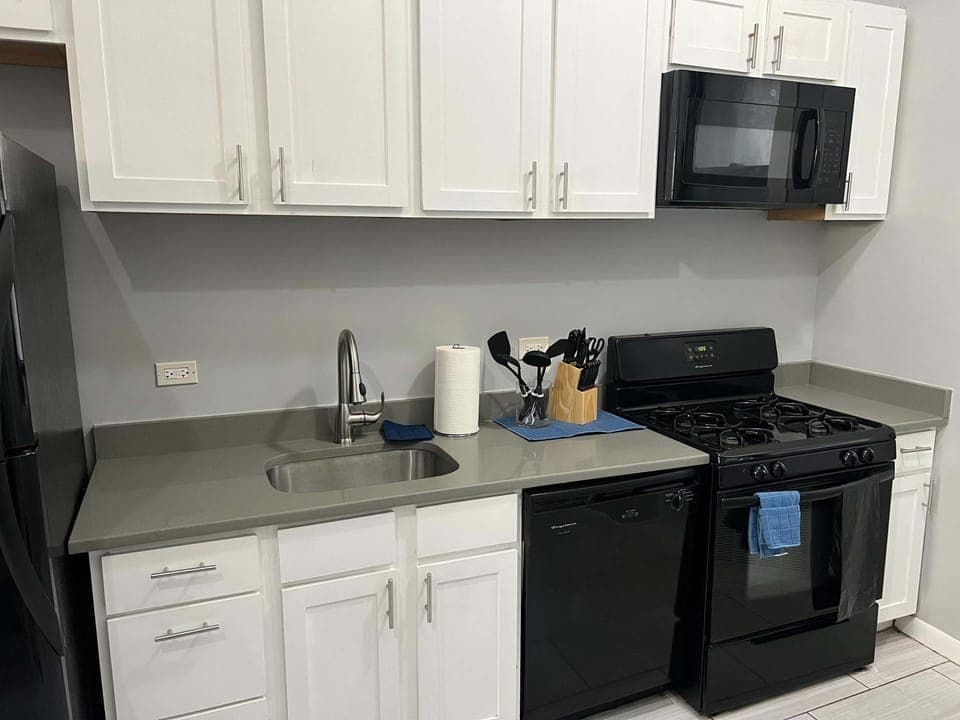 South Loop 2 Bedroom Apt Apartment in South Loop
