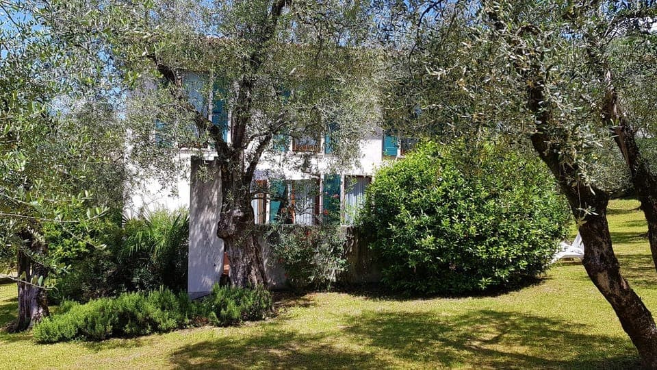 Property building, Garden, Garden view